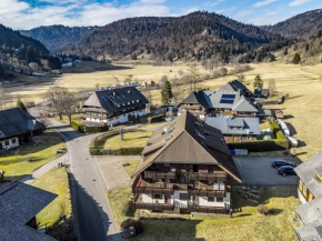 Galeriewohnung in Menzenschwand